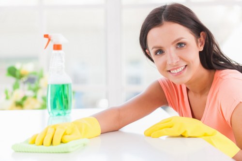 Professional upholstery cleaning for a sofa in an Ealing home
