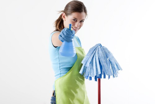 Professional cleaners providing domestic cleaning in an Ealing home