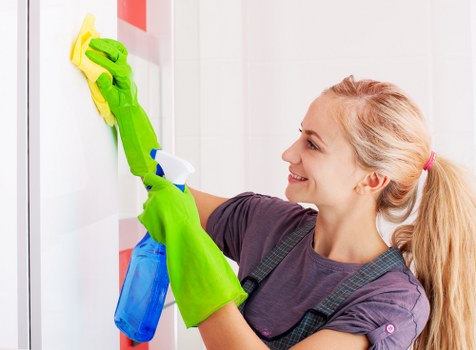 Professional one off cleaning in an Ealing home