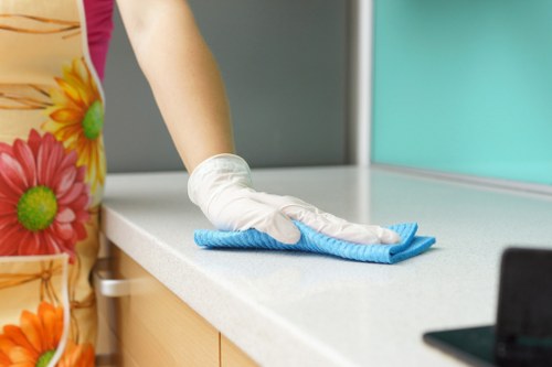 Professional oven cleaning service at the start of the legal terms page