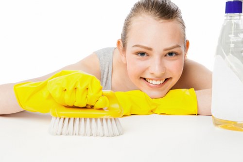 Local cleaning service for Ealing homes and flats