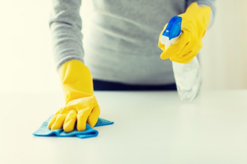 Deep cleaning service for Ealing properties with attention to detail