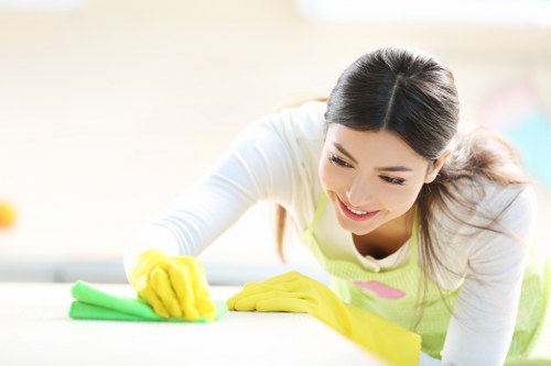 Professional exterior cleaning for cladding and brickwork