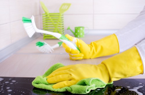 Kitchen and bathroom cleaning service for Ealing households