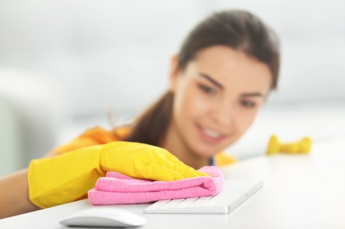 Local oven cleaning service in Ealing focused on quality and care