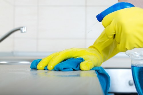 Domestic cleaner in Ealing working in a period property