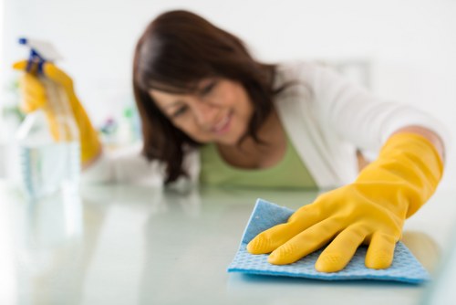 Deep carpet cleaning equipment in a local Ealing property