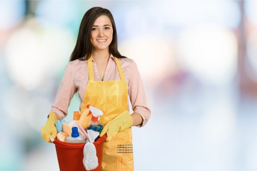 Upholstery cleaning for residential and commercial seating in Ealing