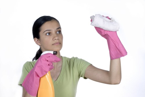 Local oven cleaning appointment for a family home in Ealing