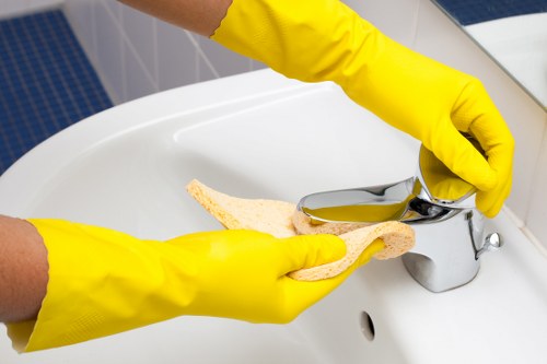 Professional oven cleaning with health and safety focus