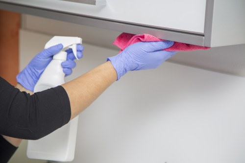 Detailed oven cleaning for built-in kitchen appliances in Ealing